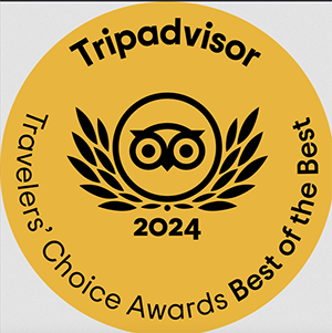 tripadvisor